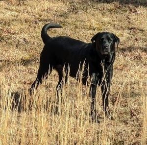 Meet your Posher, Vicky